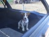 bertie bentley wagon.jpg