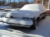 DSC00313.jpg