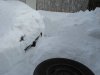 YardPrep_03_14_8.jpg