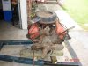 DSC00151.jpg