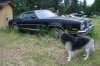 img_2213.jpg