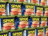 SPAM.jpg