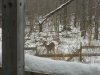 winter deer 1.jpg