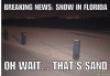 Snow Sand Florida.png