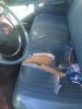 Ripped Seat.JPG