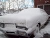 100_5594.jpg