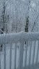 snow railling2.jpg