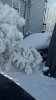 wagon in the snow 3.jpg