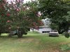 DE6B096F-1CFB-4524-89AE-ACC139CC50F3.jpeg