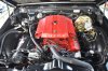 DSC_2036 - Copy.JPG