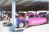PINKY 1949Jpeg.jpg