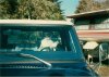 Shannon driving 1989.jpg