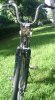Triumph_590_V.JPG