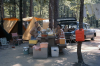Wag_2026-04-13-15.25.32.png