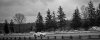 Wag_04-28_02-32-48.jpg