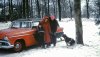 Wag_MS_3537f9fef3_k.jpg