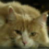 garagecat