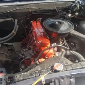 Inline 230.jpg