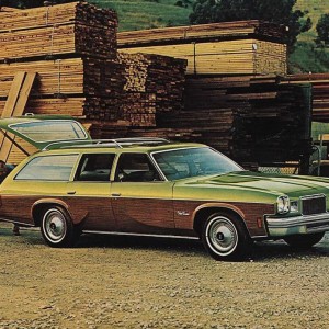 1974 Oldsmobile Vista Cruiser