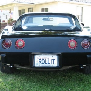 Roller Painting