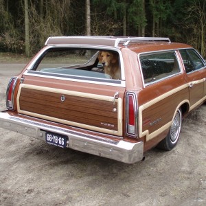 Ford Ltd Country Squire 1977 Nl