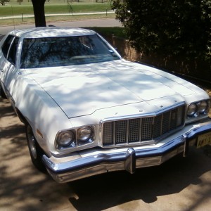 My Torino