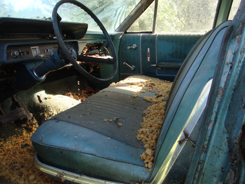 1966 Meteor