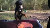 IMG_20130126_152440_113.jpg