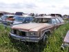 76 Impala Roundy brown.jpg