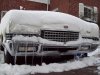 100_2386.jpg