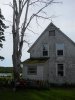 cut tree2A.jpg