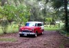 Our 55 Chevy 1.jpg