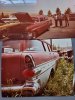Wagons 1982.jpg