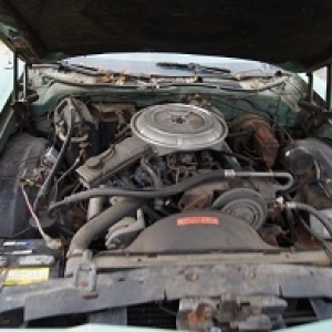 garage_vehicle-783-13155307022.jpg