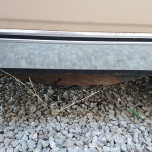 spare tire carrier rust.jpg