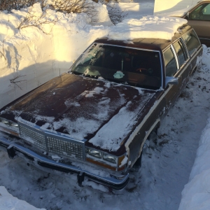Excavating the Wagon (Full Frontal).JPG