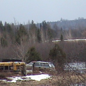 A Wagon Far Away In A Yard