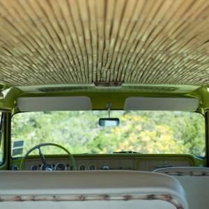 Houseospeed.com Tiki Truck
