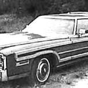 Barritz Woody