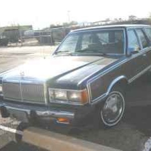 82 Cougar