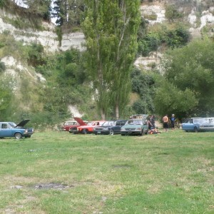 Wagnats