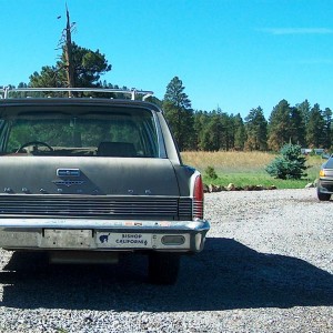 1965 Ambassador 990