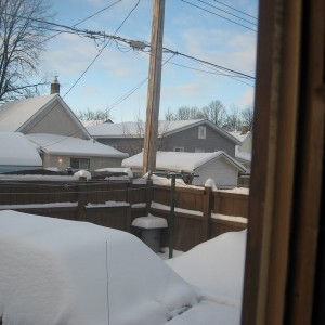 November 2010 Snow Show