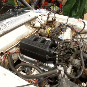 351w Test Fitting