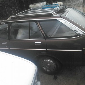 Oldturd1