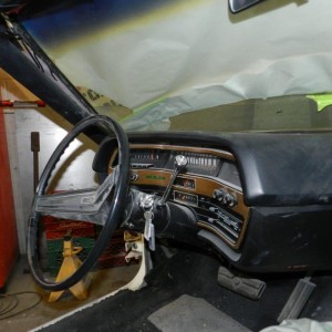 Photo(11)